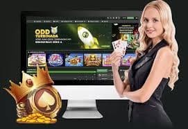 mybet8